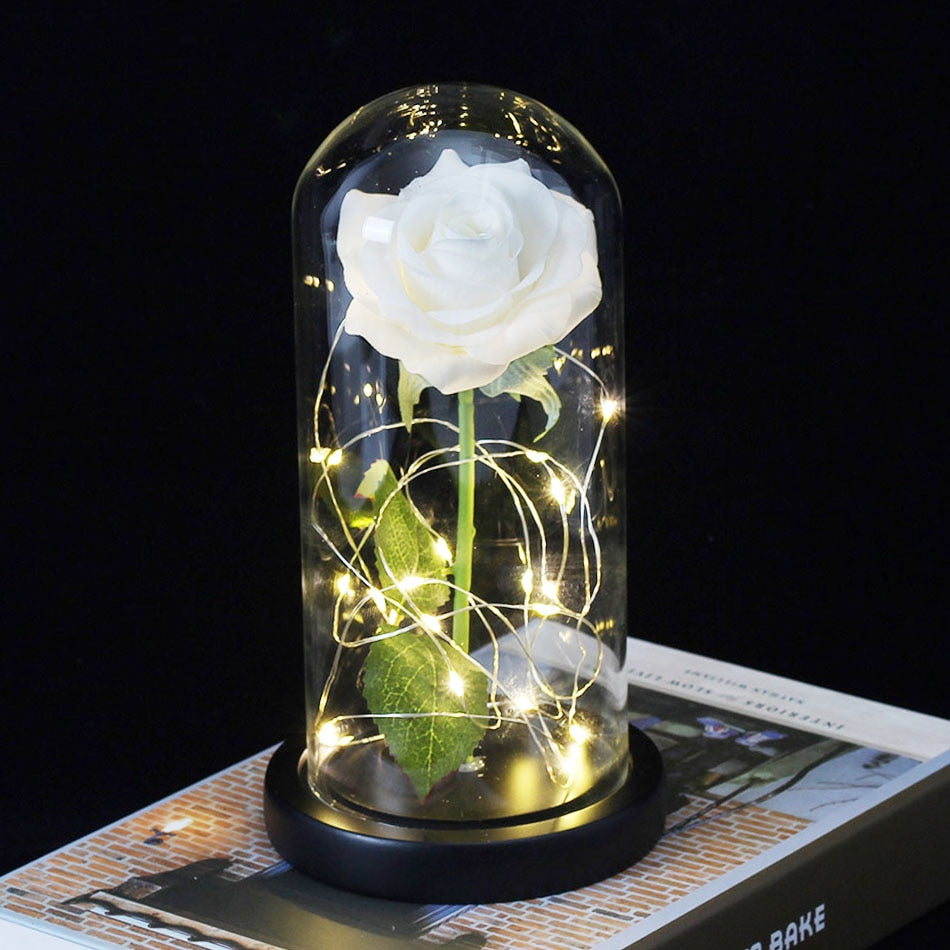 Beauty And Beast Rose In Flask LED Rose Flower