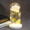 Beauty And Beast Rose In Flask LED Rose Flower