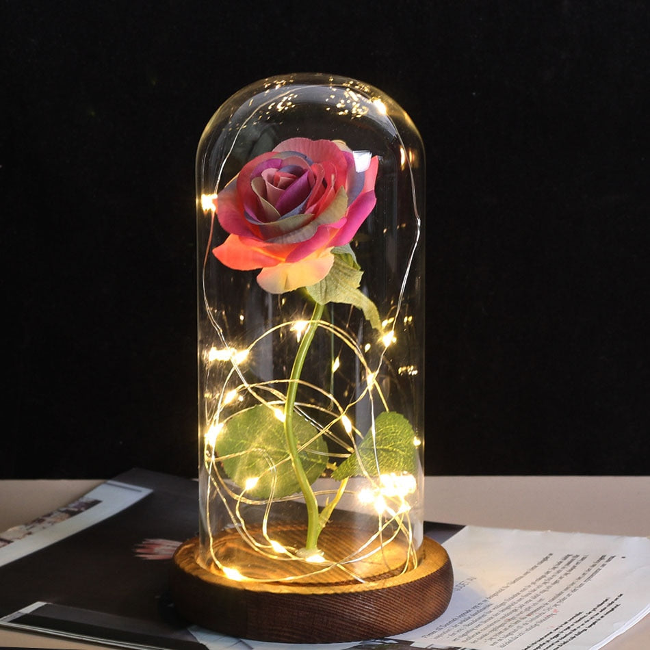 Beauty And Beast Rose In Flask LED Rose Flower