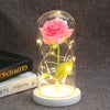 Beauty And Beast Rose In Flask LED Rose Flower