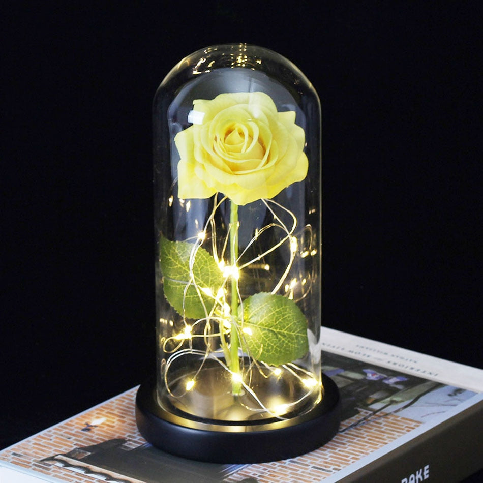 Beauty And Beast Rose In Flask LED Rose Flower