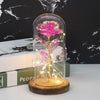 Beauty And Beast Rose In Flask LED Rose Flower