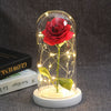 Beauty And Beast Rose In Flask LED Rose Flower