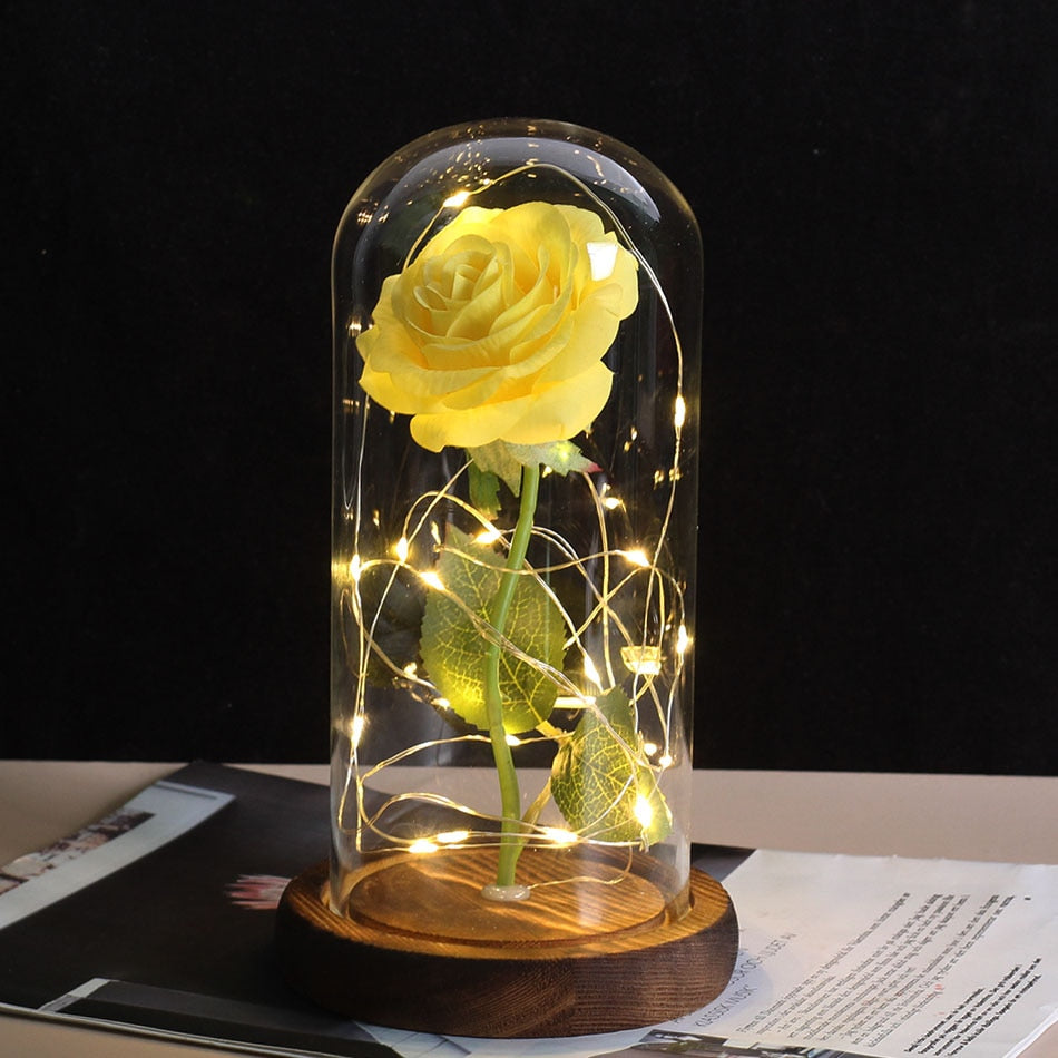 Beauty And Beast Rose In Flask LED Rose Flower