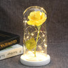 Beauty And Beast Rose In Flask LED Rose Flower