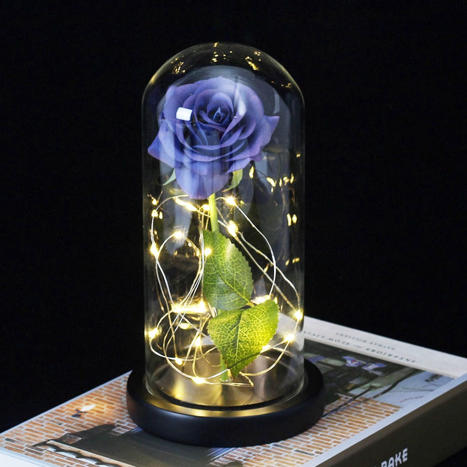 Beauty And Beast Rose In Flask LED Rose Flower