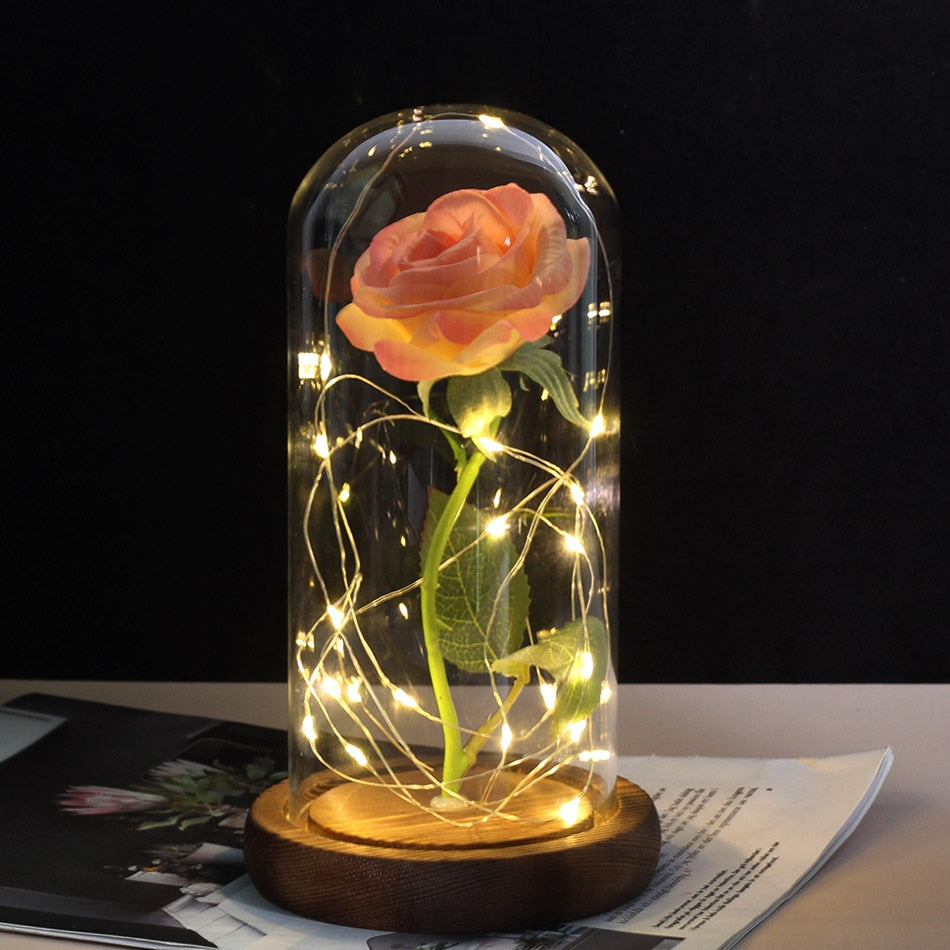 Beauty And Beast Rose In Flask LED Rose Flower