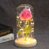 Beauty And Beast Rose In Flask LED Rose Flower