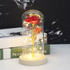 Beauty And Beast Rose In Flask LED Rose Flower