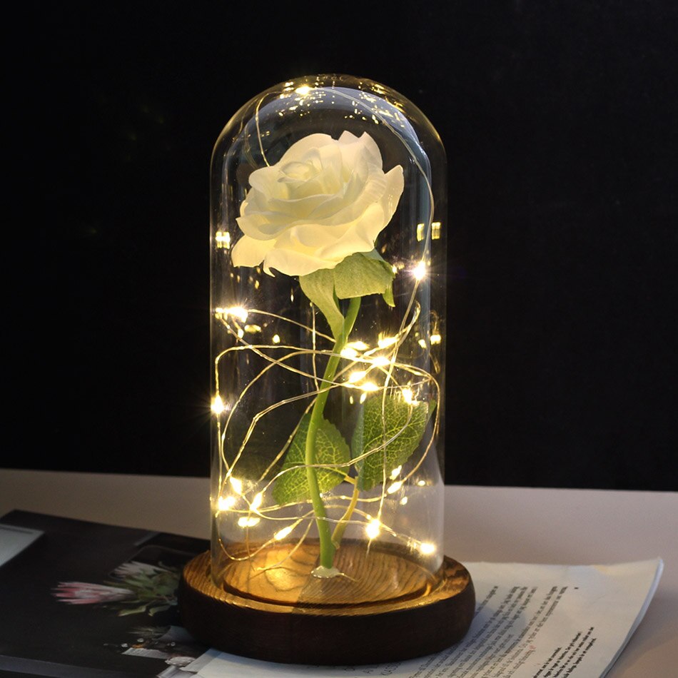 Beauty And Beast Rose In Flask LED Rose Flower