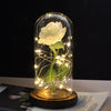 Beauty And Beast Rose In Flask LED Rose Flower