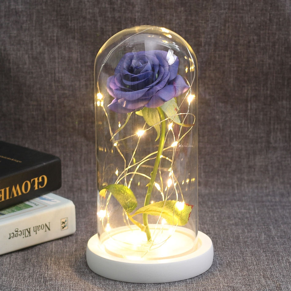 Beauty And Beast Rose In Flask LED Rose Flower