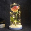 Beauty And Beast Rose In Flask LED Rose Flower