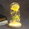 Beauty And Beast Rose In Flask LED Rose Flower