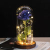 Beauty And Beast Rose In Flask LED Rose Flower