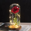 Beauty And Beast Rose In Flask LED Rose Flower