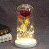 Beauty And Beast Rose In Flask LED Rose Flower