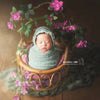 Newborn Photography Rattan Round Basket